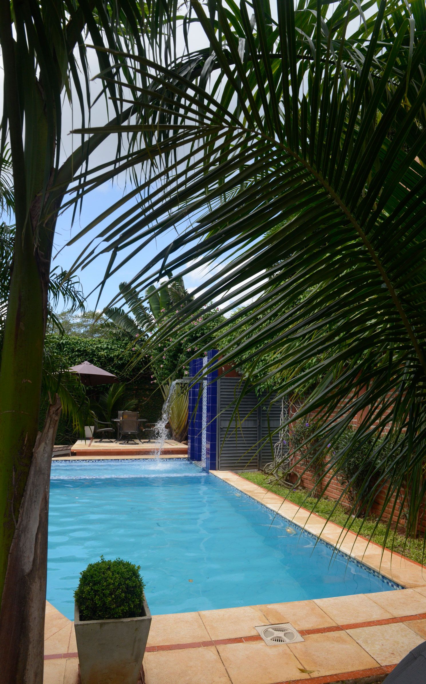 Diseño del jardín - Casa y Jardín - ABC Color