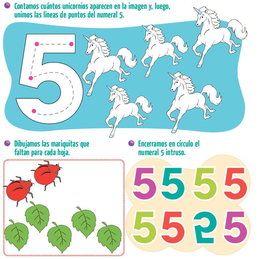 Seguir Contando ¡Seguimos contando! - Escolar - ABC Color