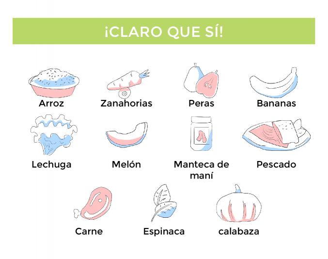 tratamiento dioctophyma renale perros