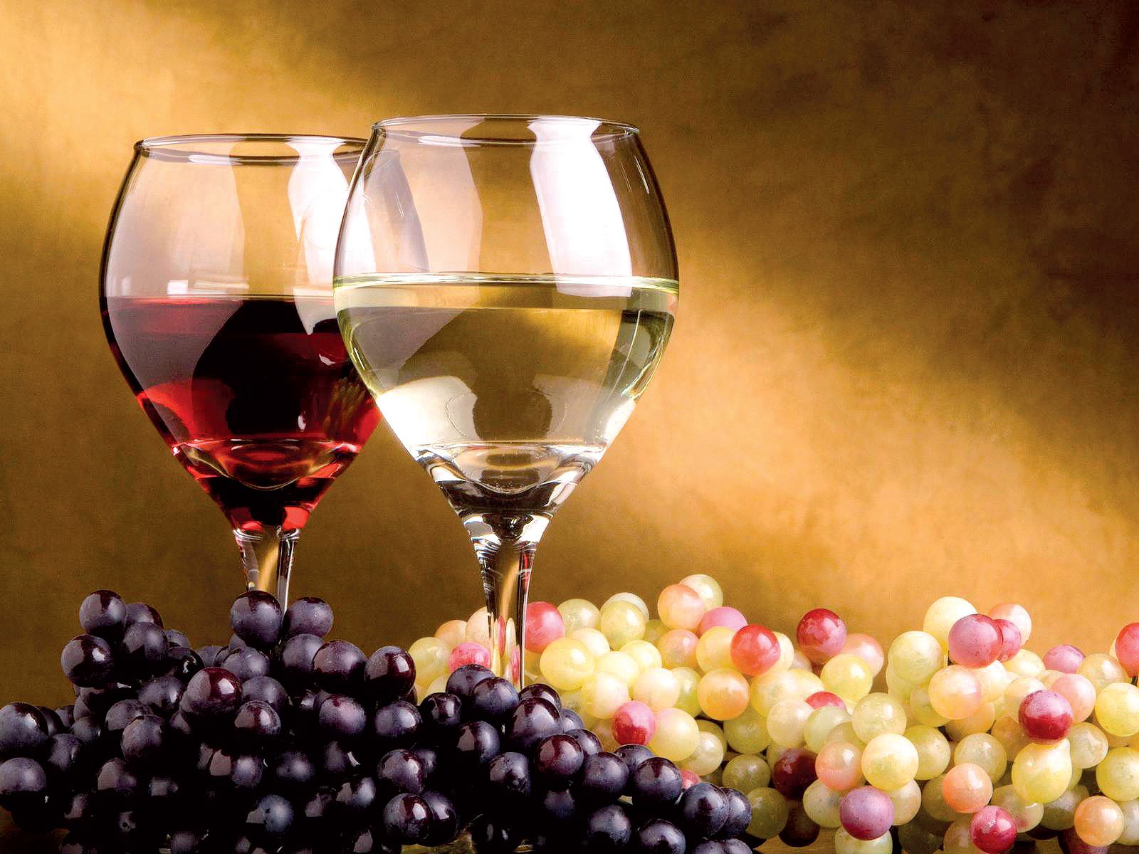 ¿Qué significa que el vino sea