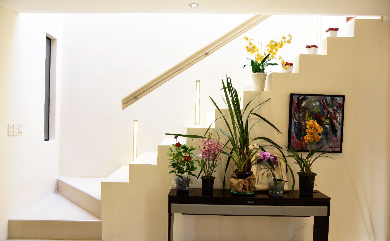 Una escalera hermosa y segura - Casa y Jardín - ABC Color