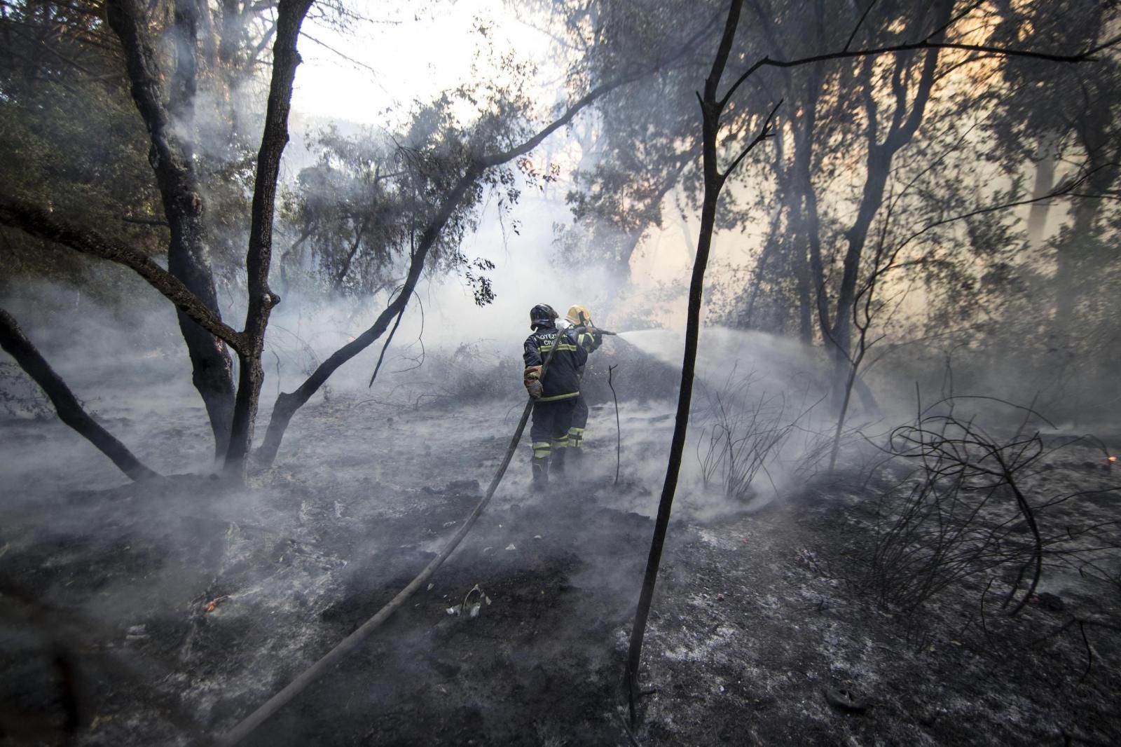 Violentos incendios forestales en el sur de Europa - Mundo - ABC Color