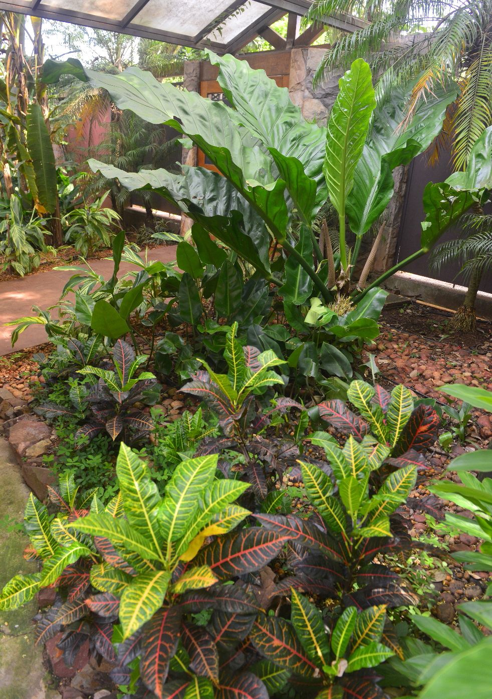 Plantas sanas - Casa y Jardín - ABC Color