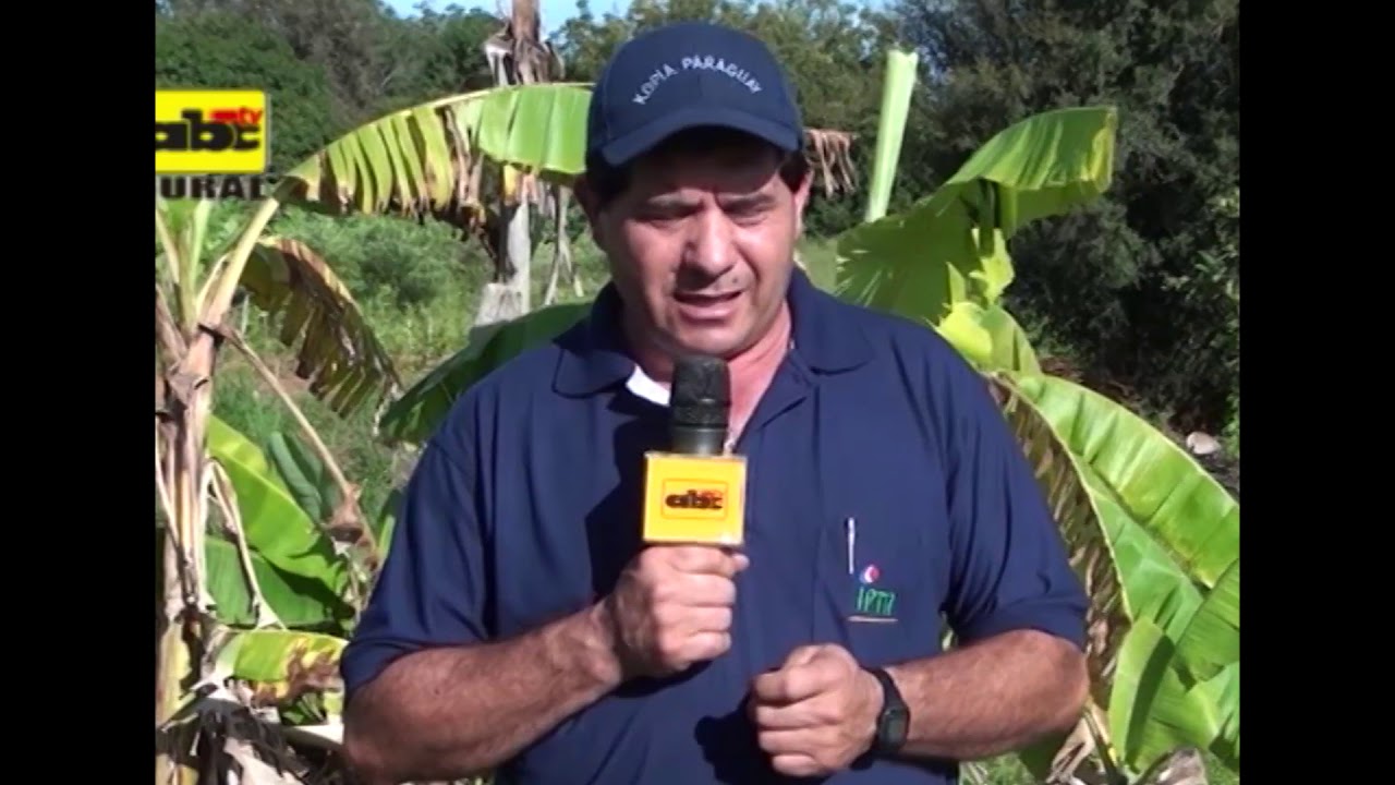 Abc Rural Programa ABC Rural TV 879 - ABC Rural - ABC Color