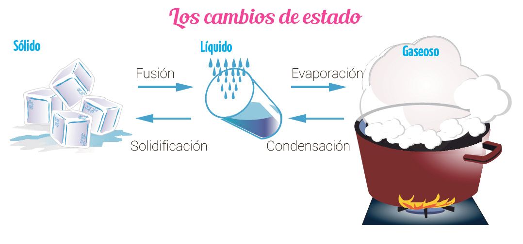 La materia y sus cambios - Escolar - ABC Color