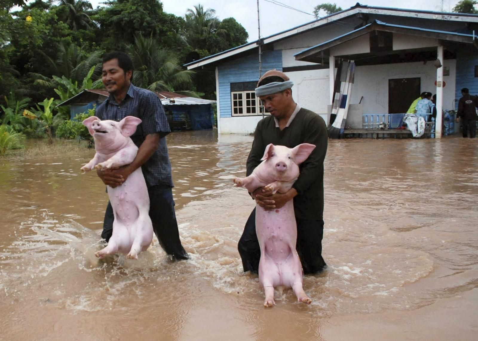 Inundaciones en Tailandia Galerías de imágenes ABC Color