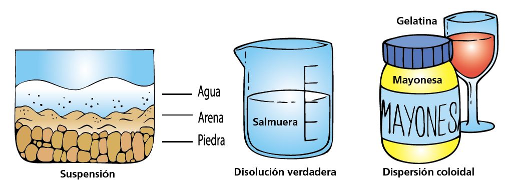 Diferencia Entre Un Coloide Y Una Disoluci n Verdadera PBSNB
