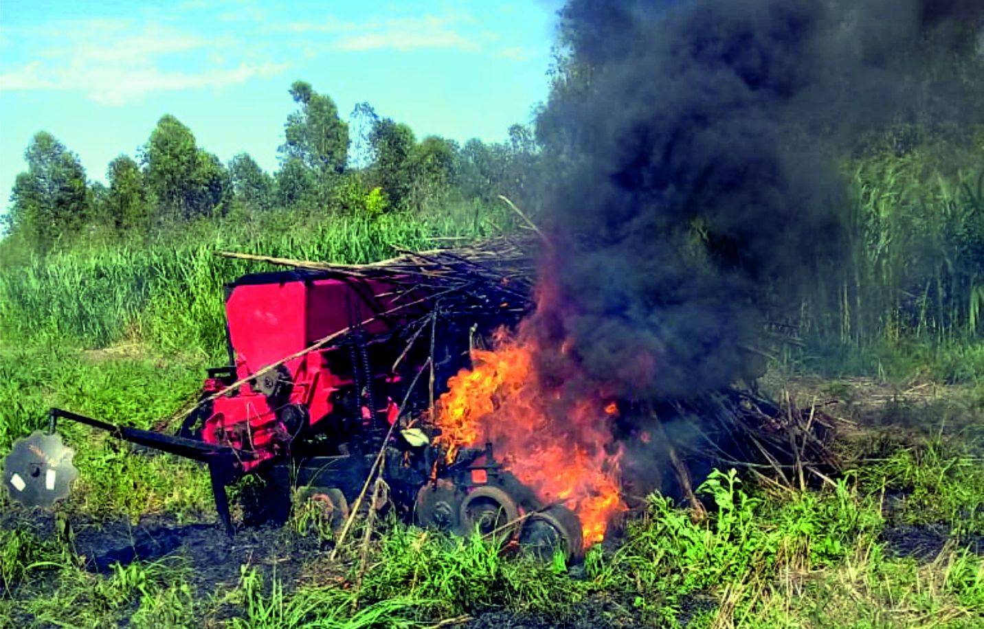 La crisis del relato rural: Enfrentando los verdaderos desafíos de la ...