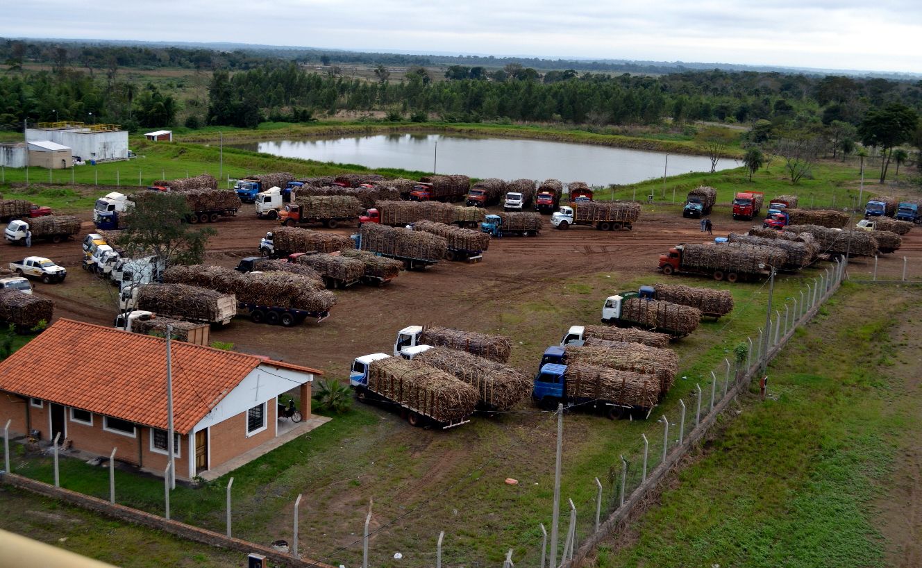 Cañicultores comienzan a llegar a la alcoholera de Coop. Coronel Oviedo