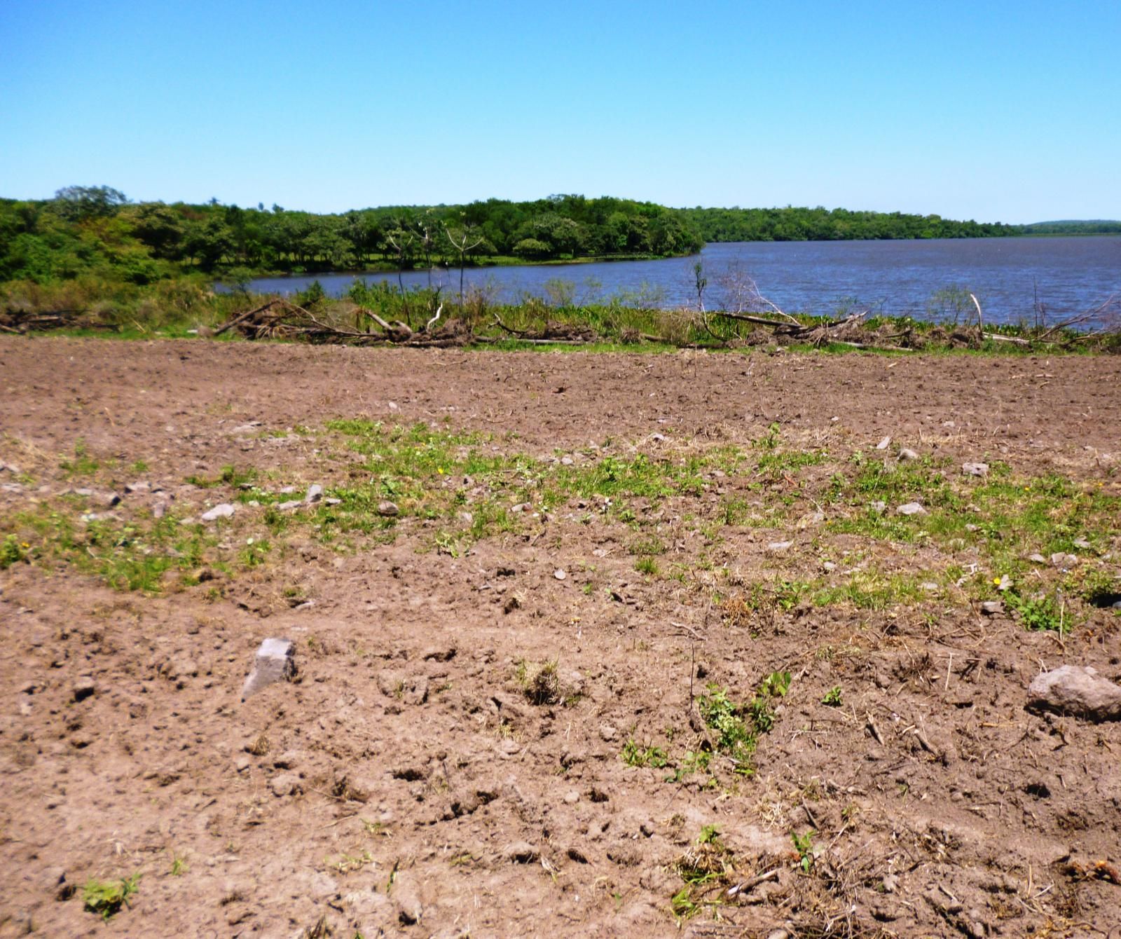 Depredan el Parque del Lago Ypoa Nacionales ABC Color