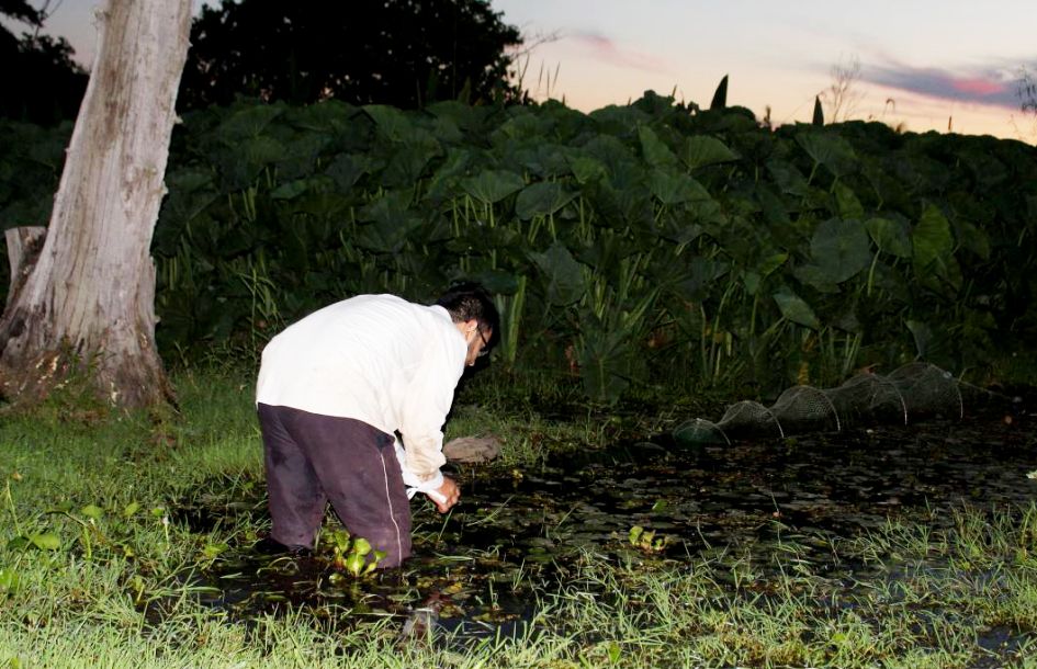 Sobre el lago Ypoá Ciencia y Tecnología ABC Color