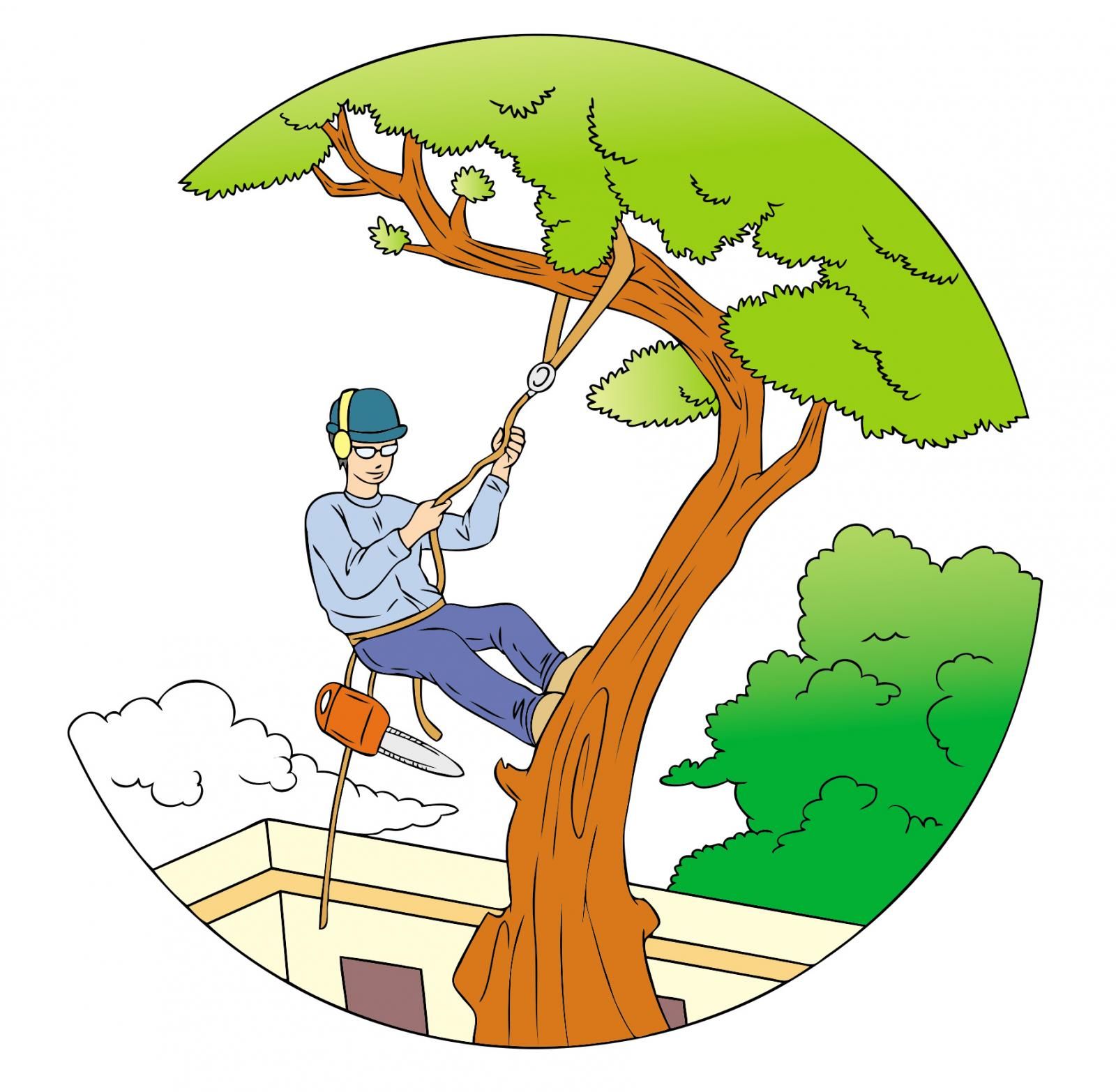 La poda de árboles y arbustos Escolar ABC Color La poda de árboles y arbustos Escolar ABC Color