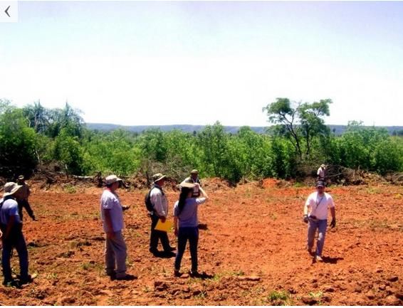 Siguen deforestando en áreas de la Reserva del Mbaracayú - ABC Rural ...